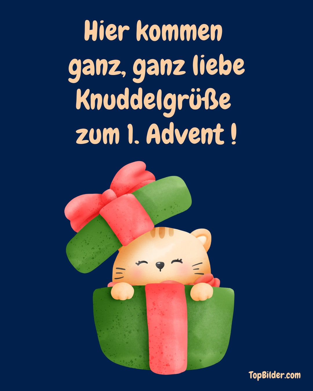 Cartoon Kätzchen in Geschenkbox mit Text: Knuddelgrüße zum 1. Advent