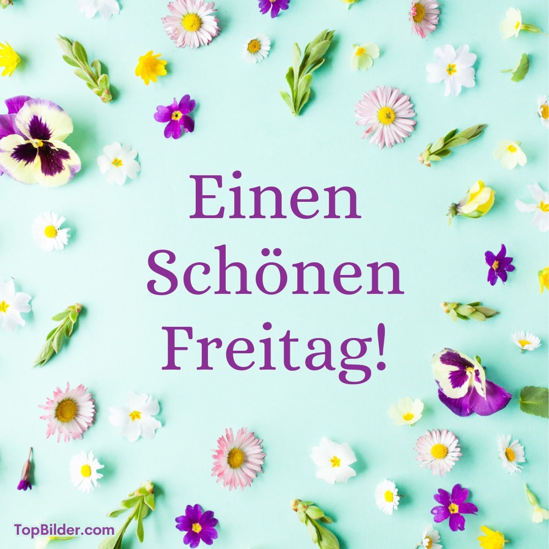 Blumen, die einen Kreis auf türkisem Hintergrund bilden, mit Wünschen für einen schönen Freitag