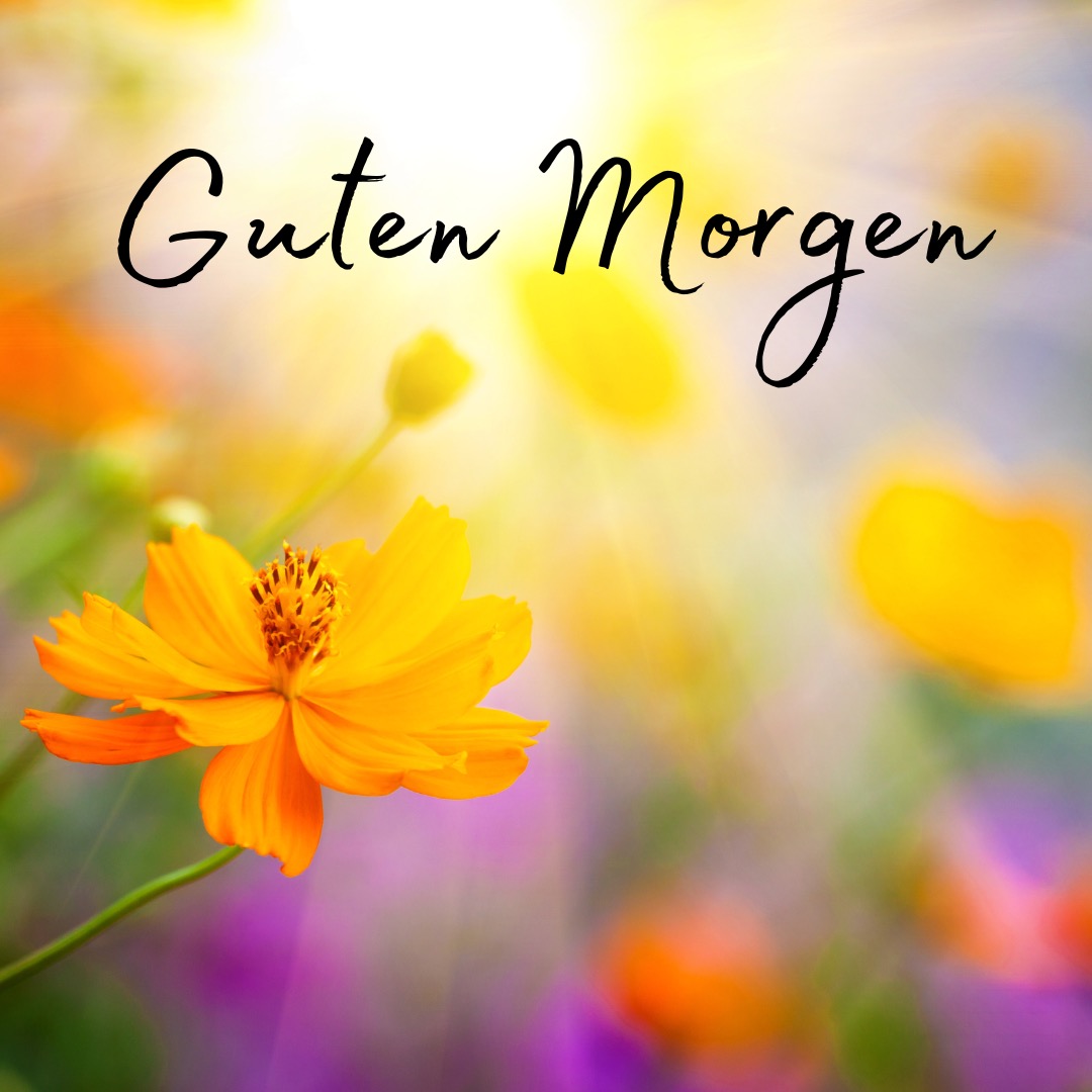 Guten Morgen Bilder Und Gru karten Top Bilder Guten Morgen Bilder Und Gru karten Top Bilder