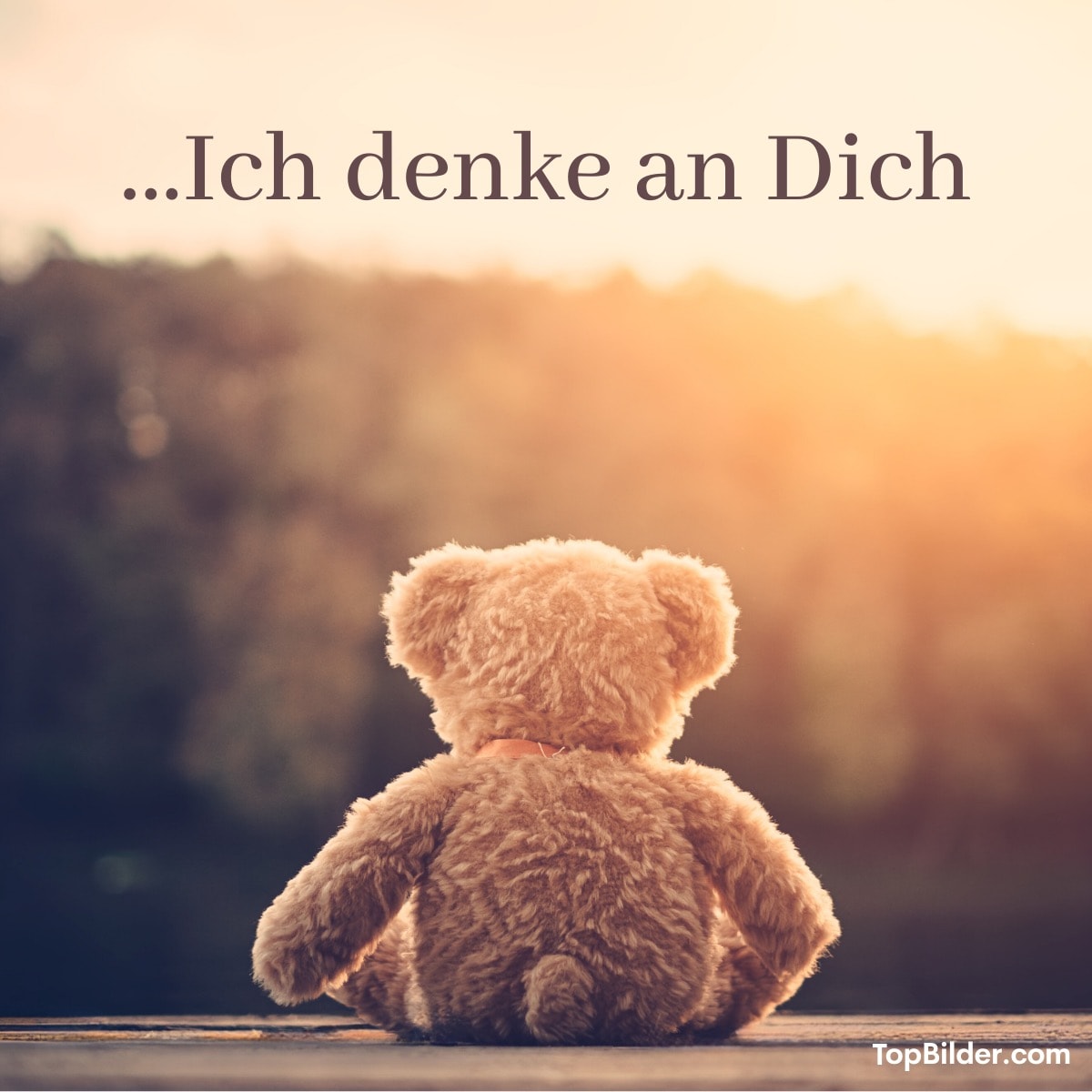 Ein Teddybär schaut in die Sonne, darüber steht Ich denke an Dich