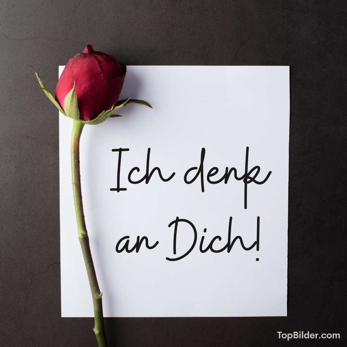 Rote Rose auf Papier mit Text Ich denke an Dich!