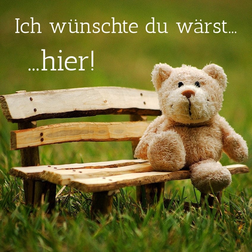 Ein Teddybär sitzt allein auf einer kleinen Holzbank im Gras