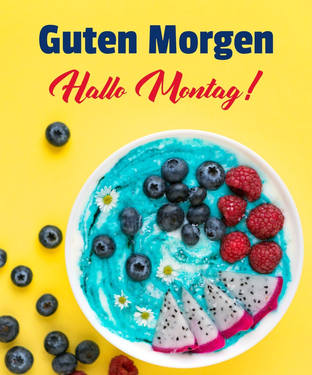 Blaue Frühstücksschüssel mit Blaubeeren, Himbeeren und Drachenfrüchten, mit Hallo Montag-Gruß