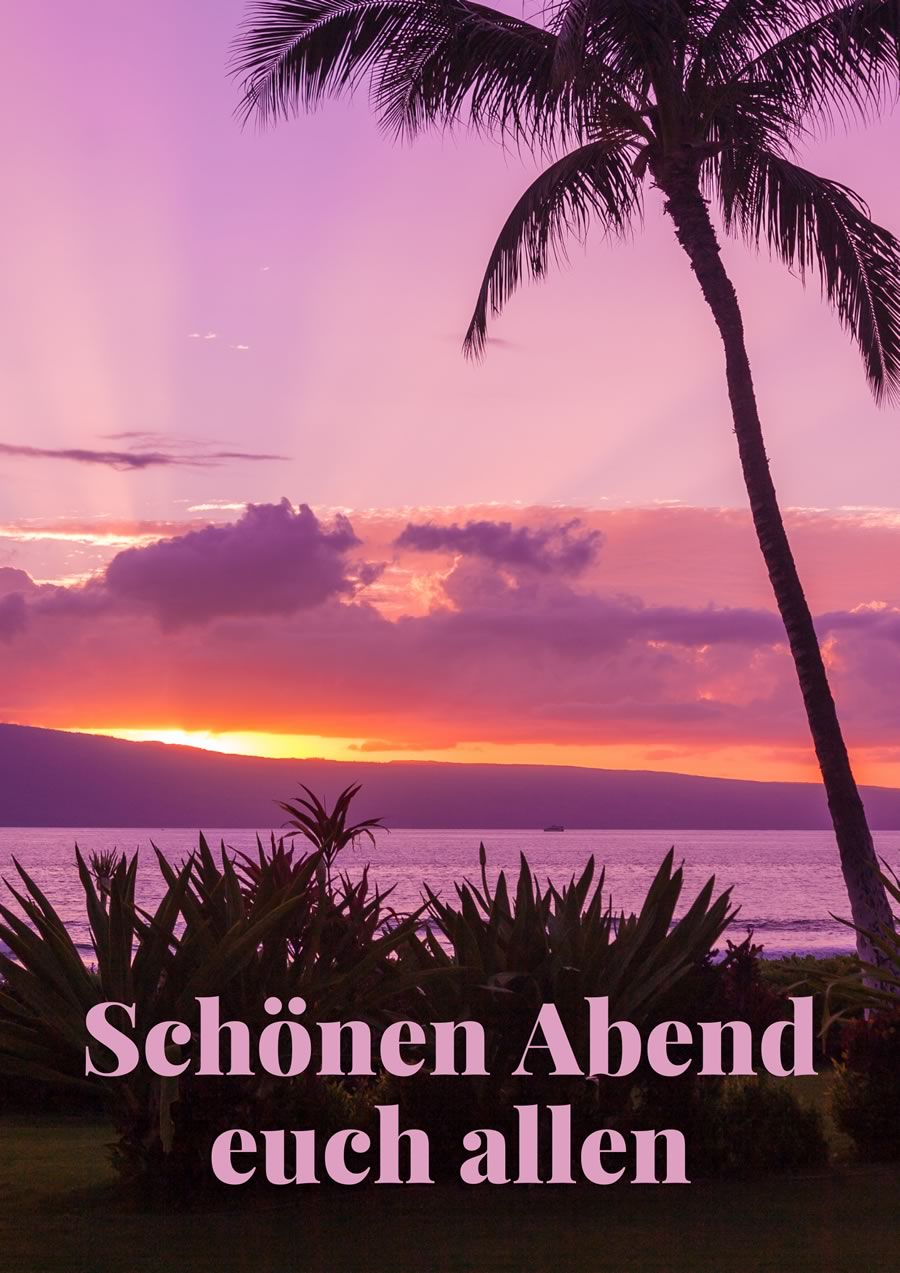 Tropischer Sonnenuntergang mit Palme und Text Schönen Abend euch allen